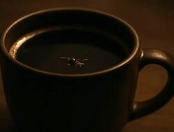 Siapa yang Patut Disalahkan, Semut yang Menjemput Rezekinya lalu Terjatuh?