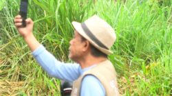 Jangan Remehkan Akal