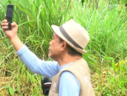 Jangan Remehkan Akal